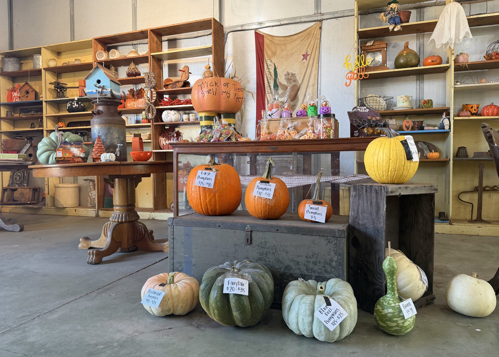 Inside the Zittel Farms barn shop, with priced pumpkins, gourds and shelves of fall decor