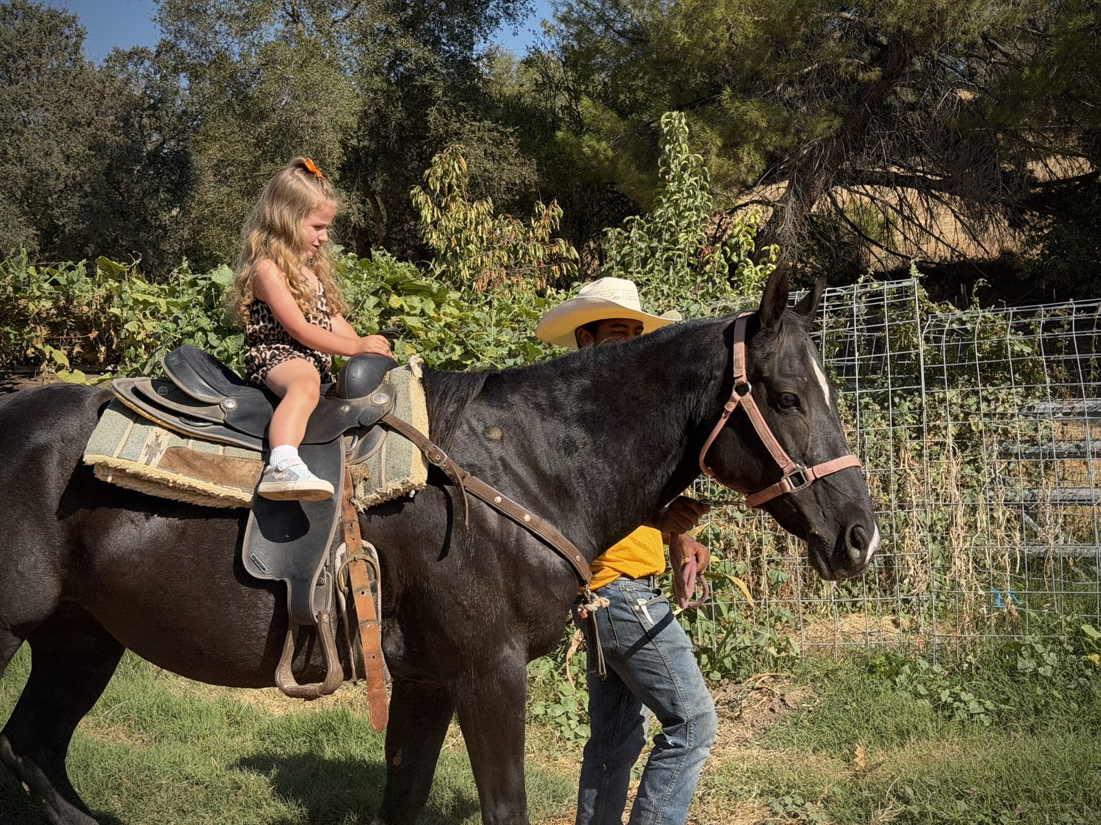 A young girl riding a dark horse, led by a farm hand in a cowboy hat